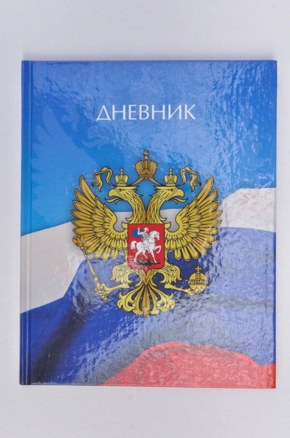 Дневник школьника 5. Дневник. Школьный дневник 5 класс. Школьный дневник с 5. Дневник школьный 10-11 класс.