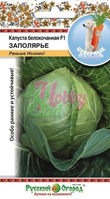Капуста Заполярье F1 белокочанная (50 шт) серия Северные овощи Русский Огород