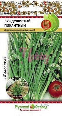Лук Душистый Пикантный (0,5 г) Русский Огород