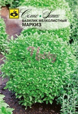 Базилик Маркиз зеленый мелколистный (0,5 г) Семко