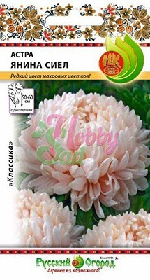 Цветы Астра Янина Сиел (0,3 г) Русский Огород