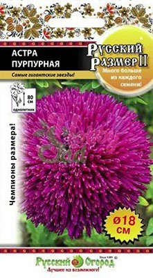 Цветы Астра Русский Размер II Пурпурная (0,2 г) Русский Огород серия Русский Размер