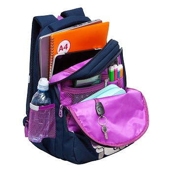 RG-460-3 Рюкзак школьный
