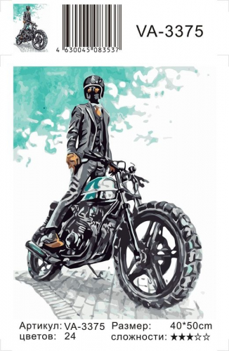 Картины по номерам Мотоциклист в черном
