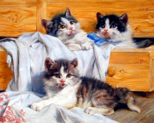 Алмазная мозаика круглыми стразами Три котенка