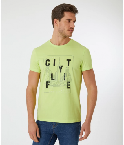 Hellgrünes T-Shirt
     
      X-Mail, Rundhalsausschnitt