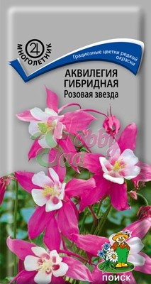 Цветы Аквилегия Розовая Звезда гибридная (0,05 г) Поиск
