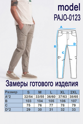 Брюки OMBRE PAJO-0123 v3