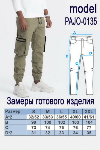 Брюки OMBRE PAJO-0135 v8