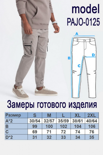 Брюки OMBRE PAJO-0125 v1