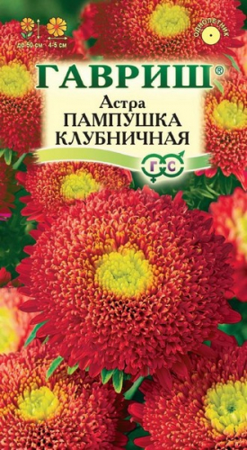 Семена Астра Пампушка клубничная 0,3г помпонная