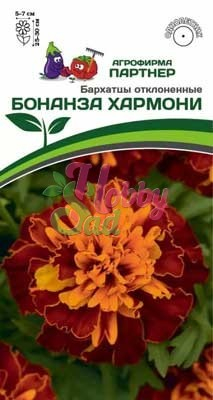 Цветы Бархатцы Бонанза Хармони отклоненные (10 шт) Партнер НОВИНКА 2024