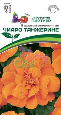 Цветы Бархатцы ЧИАРО ТАНЖЕРИНЕ отклоненные (10 шт) Партнер НОВИНКА 2024