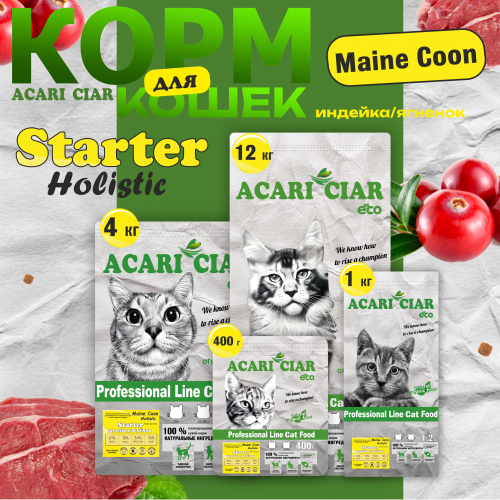 КОРМ MAINE COON STARTER HOLISTIC ДЛЯ КОШЕК