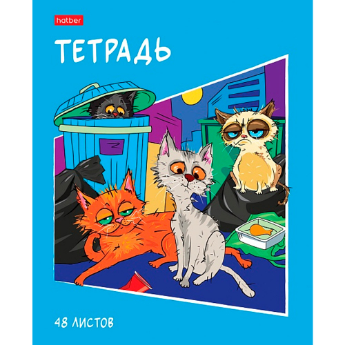 Тетрадь 48 л. клетка КотоБанда 48Т5В1 Hatber в Нижнем Новгороде