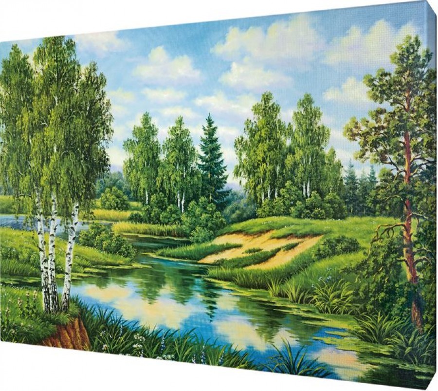 Картина 35. 60x40 картина. Картина 35*50. Картина на холсте (канвас) 