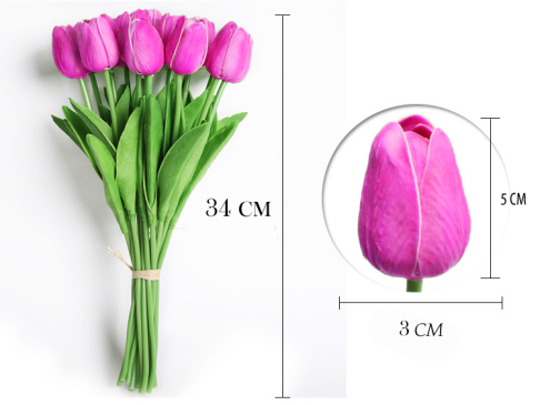 Тюльпаны сколько см