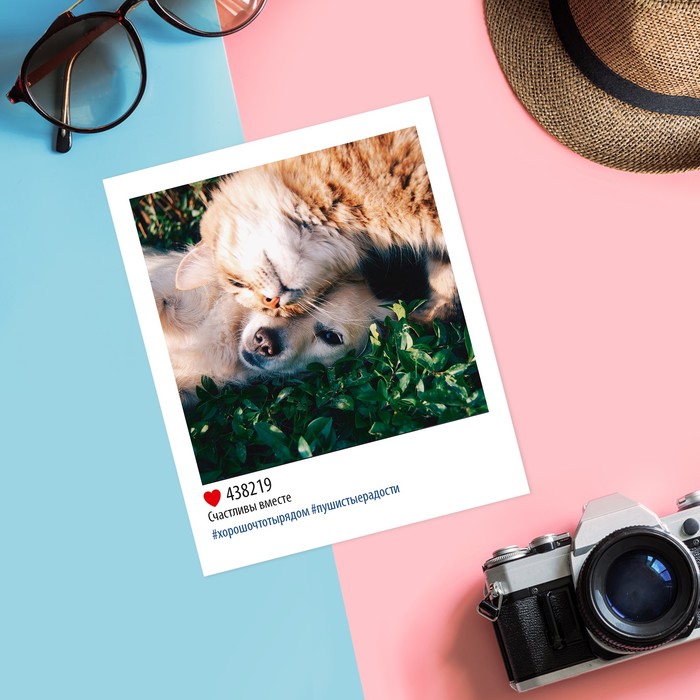 ������� �������� ���������