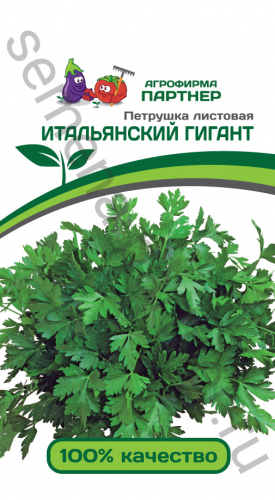ПЕТРУШКА ЛИСТОВАЯ ИТАЛЬЯНСКИЙ ГИГАНТ ^(2Г)