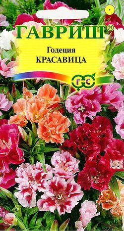 Цветы Годеция Красавица, смесь 0,1 г ц/п Гавриш (однол.)
