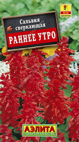 Цветы Сальвия Ранне утро 0,1 г ц/п Аэлита (однол.)