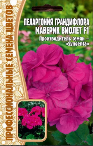 Семена Пеларгония (герань) Грандифлора Маверик Виолет 3 шт.уп.