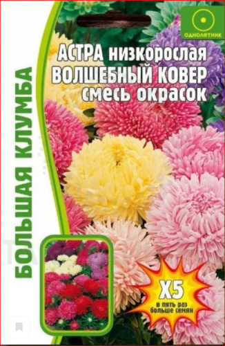 Семена Астра карликовая Волшебный Ковер смесь 1г (это где-то 400-450шт.семян в уп)