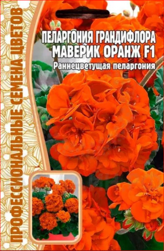 Семена Пеларгония Грандифлора Маверик Оранж 3 шт.уп.