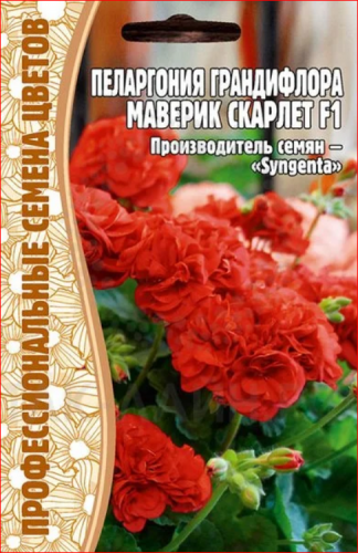 Семена Пеларгония Грандифлора Маверик Скарлет 3 шт. уп.