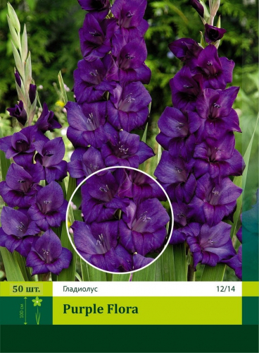 Purple Flora  цена за 1шт собираем кратно 5шт