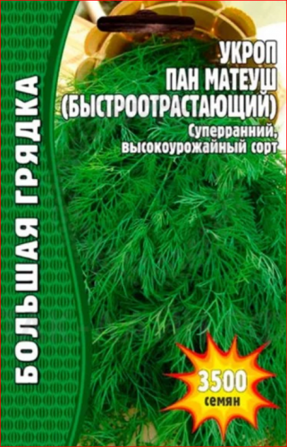 Семена Укроп Пан Матеуш РАННИЙ (быстроотрастающий) 3500 шт.уп.