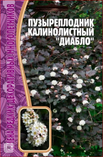 Семена Пузыреплодник калинолистный Диабло 15 шт.уп.
