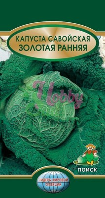 Капуста Золотая ранняя савойская (0,5 гр) Поиск Лидеры Мировой Селекции