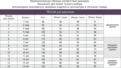 Pelican, Трусики для мальчика 2шт. Pelican