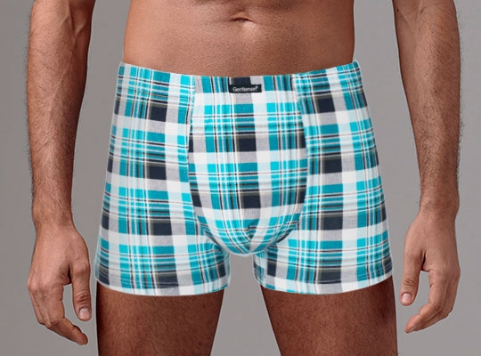 Трусы мужские шорты Gentlemen 7865гсТм