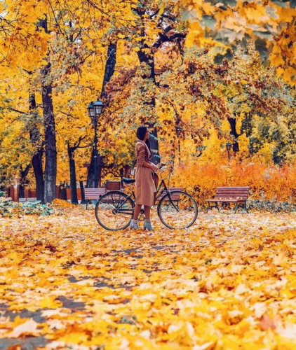 Картины по номерам 40х50 Прогулка среди золотых листьев