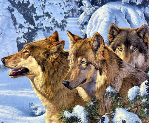 Картины по номерам 40х50 Волки в зимнем лесу