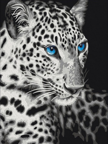 Картины по номерам 40х50 Голубоглазый леопард