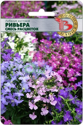 Цветы Лобелия Ривьера смесь расцветок кустовая (10 шт) Биотехника