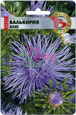 Цветы Астра китайская Валькирия SELECT Блю (30 шт) Биотехника