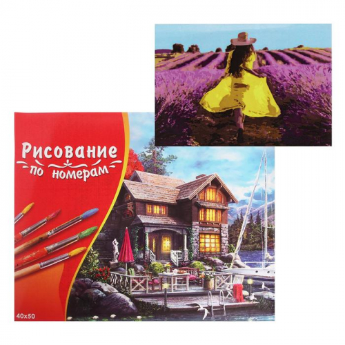 Картина по номерам 40×50 см в коробке, 20 цветов «Девушка в лавандовом поле»