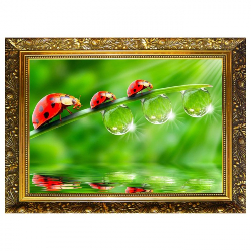 Алмазная мозаика «Капельки росы» 29,5×20,5 см, 25 цветов