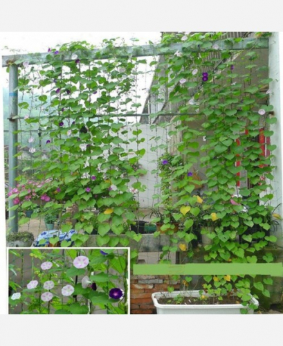 Сетка садовая для вьющихся растений 0,9*1,8 м 9046412