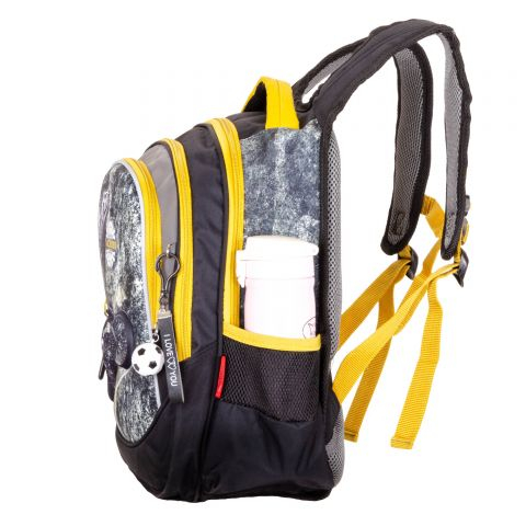 Школьный рюкзак ACR19-CH220-2