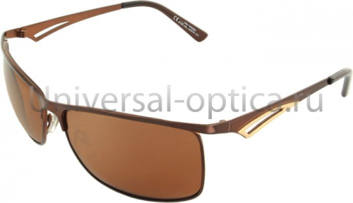 2720-PL солнцезащитные очки Elite col. 2