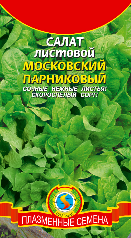 Салат московский парниковый фото. Семена салат Московский парниковый.