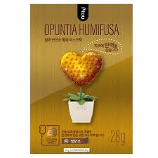 Opuntia Humifusa mask pack 28g Nutrition (золотое сердце)