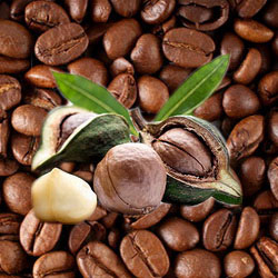 Гавайский орех Кофе 