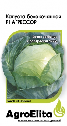 Капуста Агрессор F1 10 шт ц/п Агроэлита, Голландия (поздняя)