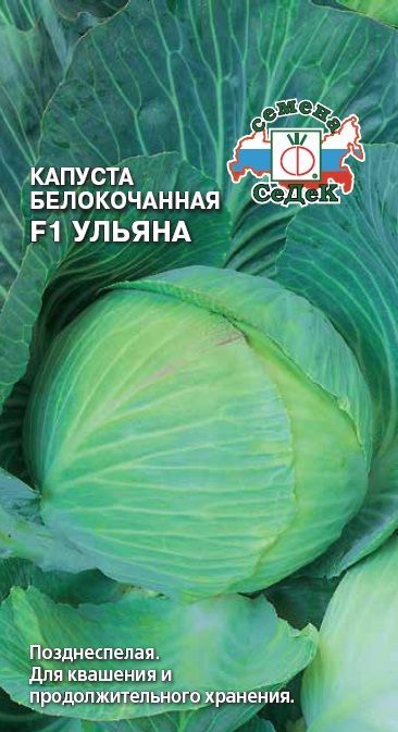 Капуста Ульяна F1 0,1 г ц/п Седек, (поздняя)